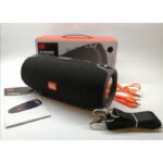 Bluetooth zvucnik JBL XTREME 2x20w - slika 6