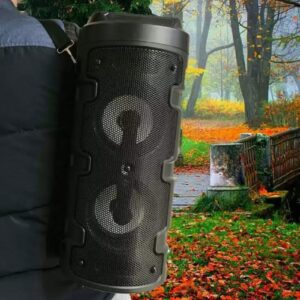 Bluetooth zvučnik ZQS-4210 - slika 2