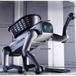 Robot Pas na daljinsko upravljanje — detalji