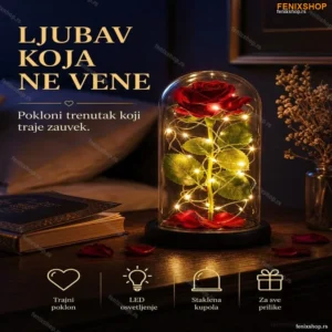Ruža u Staklenom zvonu sa LED svetlima