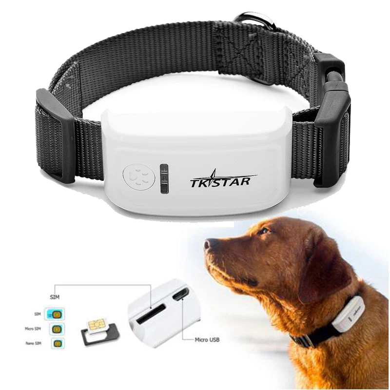 TKSTAR TK909 GPS ogrlica za pse — praćenje u realnom vremenu GPS ogrlica za pse - u upotrebi