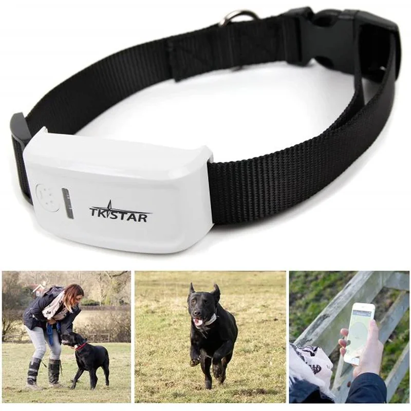 TKSTAR TK909 GPS ogrlica za pse — praćenje u realnom vremenu GPS ogrlica za pse - prednja strana