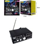 Andowl Q-T110 MAX karaoke pojačalo sa Bluetooth i FM radiom