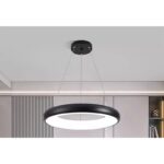 LED prstenasti luster HWJ-170 48W sa daljinskim upravljačem, 40/50/60 cm