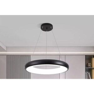 LED prstenasti luster HWJ-170 48W sa daljinskim upravljačem, 40/50/60 cm