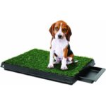 Pet Park Deluxe higijenski toalet za pse sa veštačkom travom 63x51 cm