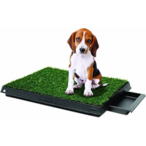 Pet Park Deluxe higijenski toalet za pse sa veštačkom travom 63x51 cm